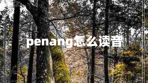penang怎么讀音