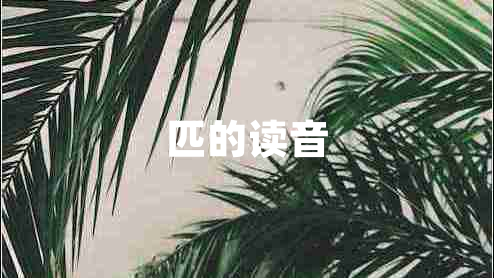 匹的讀音