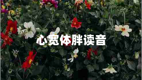 心寬體胖讀音