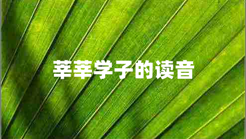 莘莘學子的讀音