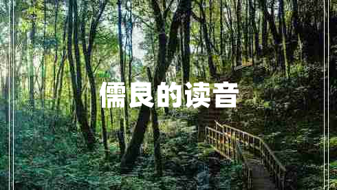 儒艮的讀音