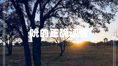 吮的正確讀音