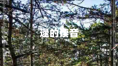 逯的讀音
