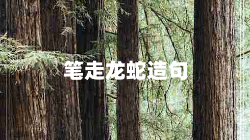 筆走龍蛇造句
