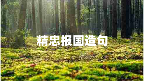 精忠報國造句