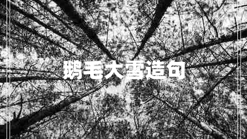 鵝毛大雪造句 鵝毛大雪造句