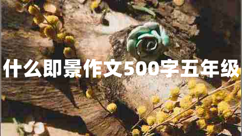 什么即景作文500字五年級 什么即景作文500字五年級