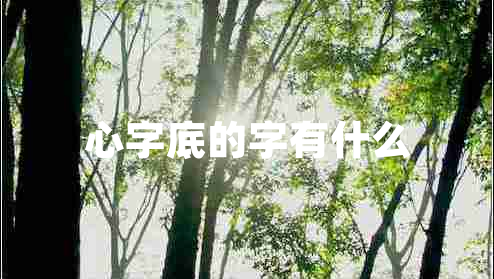 心字底的字有什么