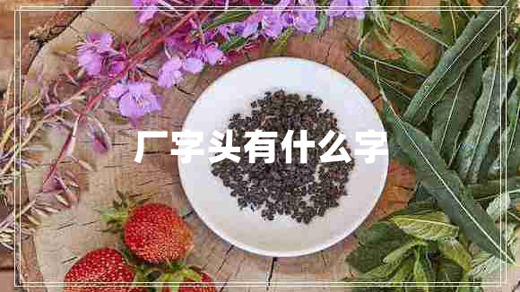 廠(chǎng)字頭有什么字