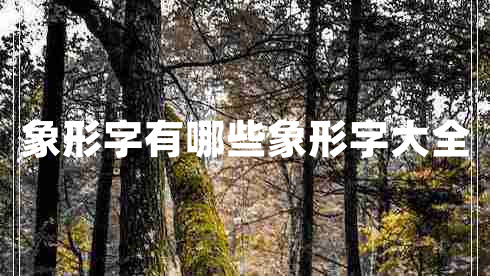 象形字有哪些象形字大全 象形字有哪些象形字大全