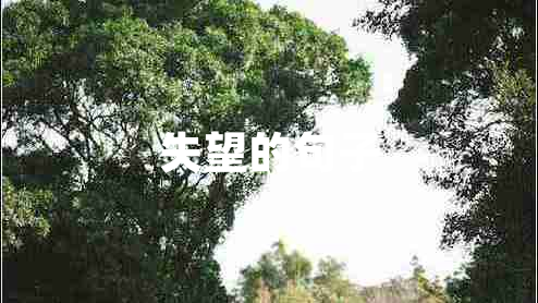 失望的句子