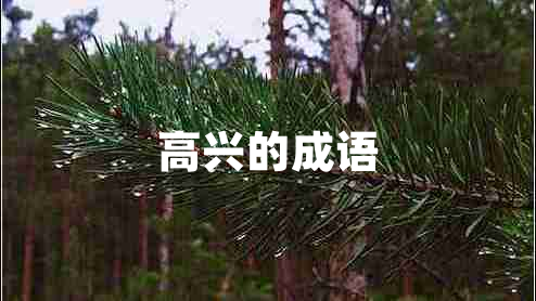 高興的成語(yǔ)