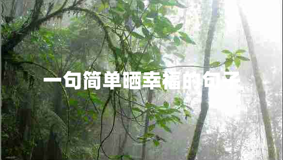 一句簡單曬幸福的句子