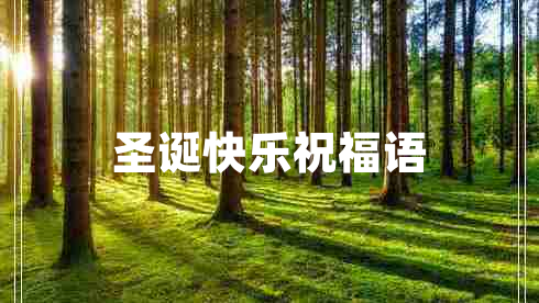 圣誕快樂(lè )祝福語(yǔ)