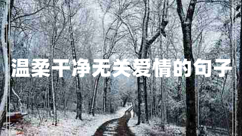 溫柔干凈無(wú)關(guān)愛(ài)情的句子