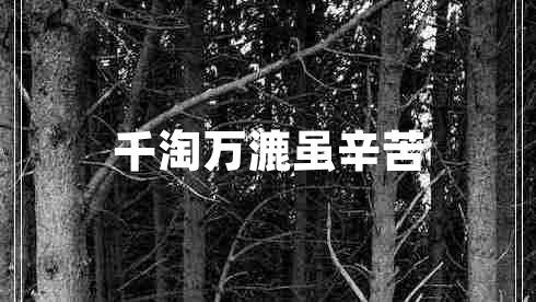 千淘萬(wàn)漉雖辛苦