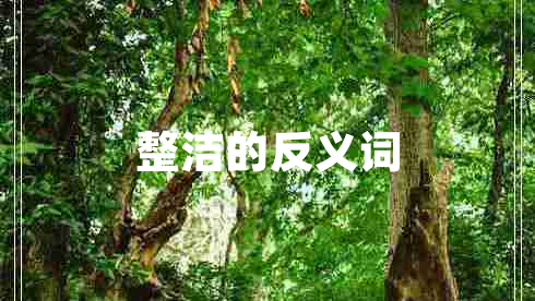整潔的反義詞