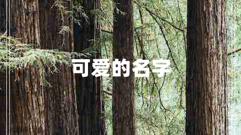 可愛(ài)的名字