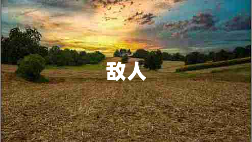 敵人