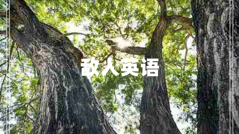 敵人英語(yǔ)