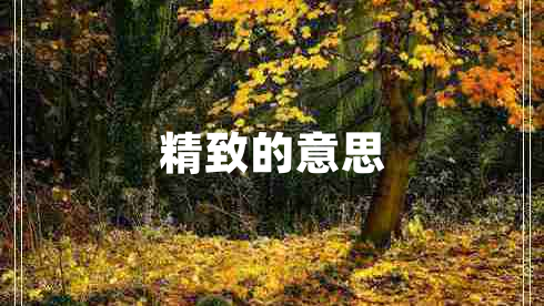 精致的意思