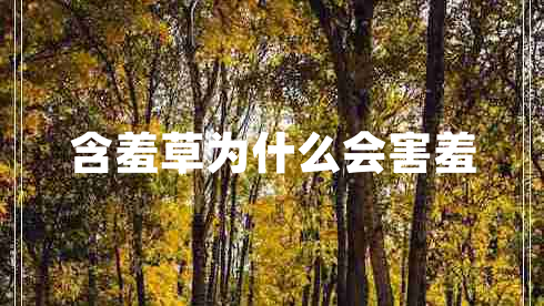 含羞草為什么會(huì )害羞