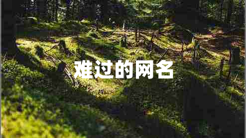 難過(guò)的網(wǎng)名