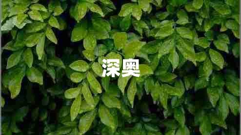 深奧