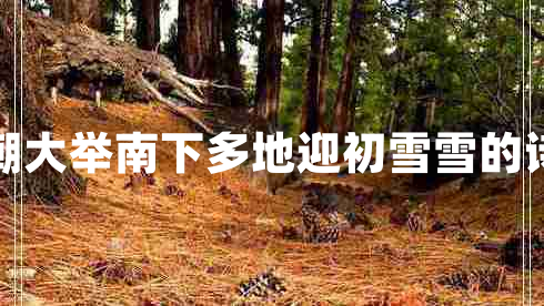 寒潮大舉南下多地迎初雪雪的詩(shī)句