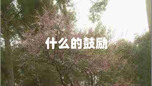 什么的鼓勵