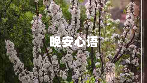 晚安心語(yǔ)