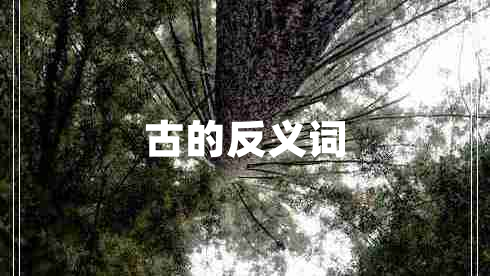 古的反義詞