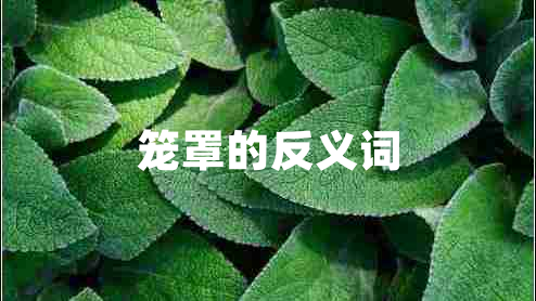 籠罩的反義詞