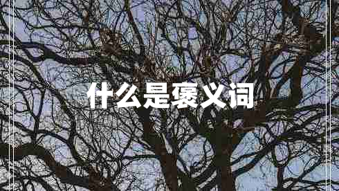 什么是褒義詞