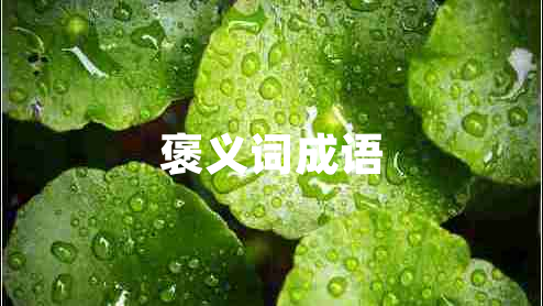 褒義詞成語(yǔ)