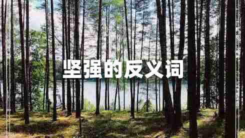堅強的反義詞
