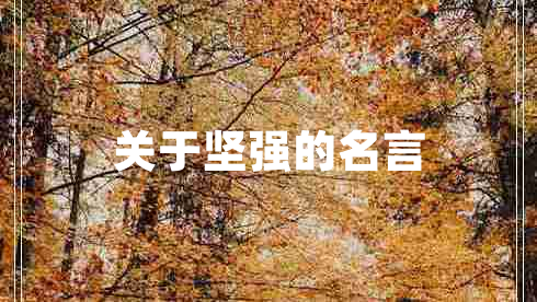 關(guān)于堅強的名言