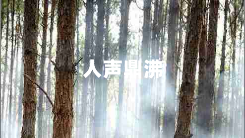 人聲鼎沸