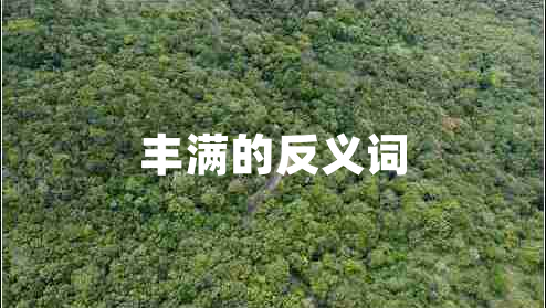 豐滿(mǎn)的反義詞