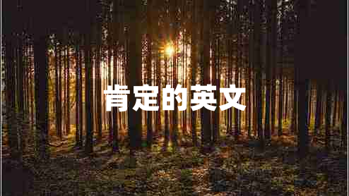 肯定的英文