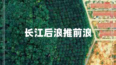 長(cháng)江后浪推前浪