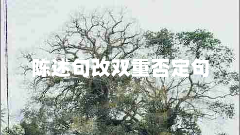 陳述句改雙重否定句