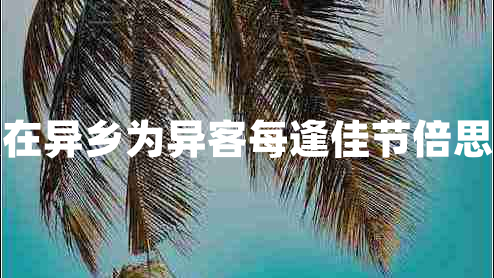 獨在異鄉為異客每逢佳節倍思親