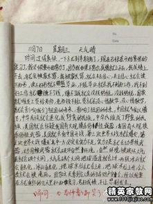 我的校園作文評(píng)語(yǔ)大全簡(jiǎn)短