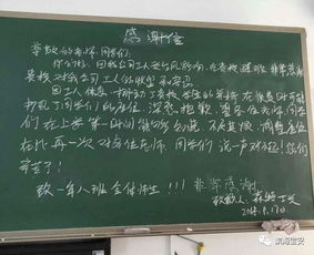 臺風(fēng)過(guò)后一片狼藉的作文,臺風(fēng)過(guò)后的景象作文,臺風(fēng)過(guò)后的情景作文