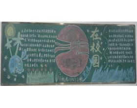 高中生寫(xiě)校園的作文800字作文大全