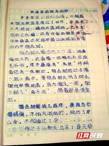 描寫(xiě)校園的作文300字,描寫(xiě)校園的作文300字三年級的作文,描寫(xiě)校園的作文800字初中