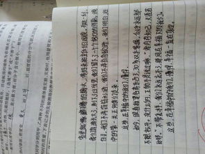 校園里的故事作文600字初中,發(fā)生在校園里的故事作文600字,校園里的故事作文600字六年級