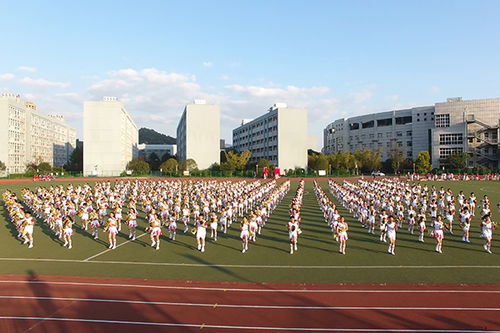 溫州市翔宇中學(xué)校園美景作文