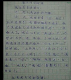 樟樹,我愛,作文,校園